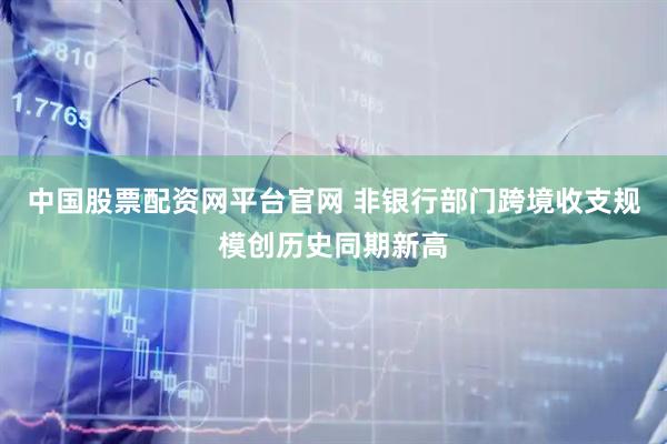 中国股票配资网平台官网 非银行部门跨境收支规模创历史同期新高